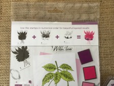 GEM-LAY-FFUC Flourishing Fuchsias Set