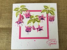 GEM-LAY-FFUC Flourishing Fuchsias Set