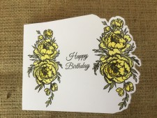 GEM-STD-PEO Peony
