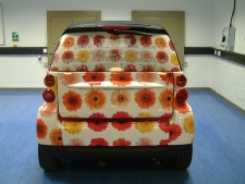 Contra vision rear screen graphics