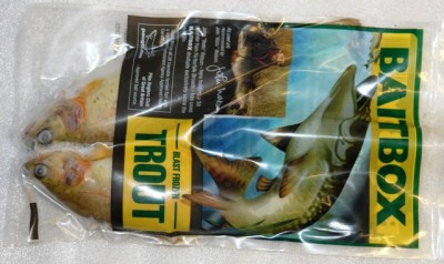 Trout