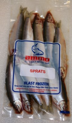 Sprats