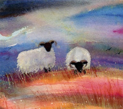 Two Sheep