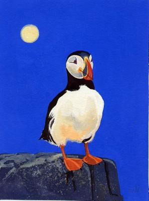 Puffin on a Rock