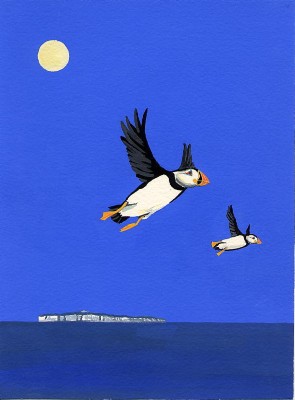 Puffin''s Flight
