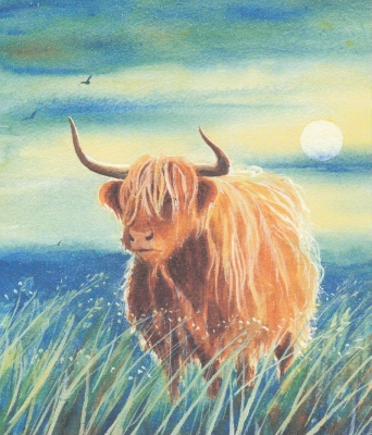 Highland Cattle (Green)