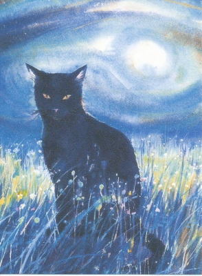 Moonlight