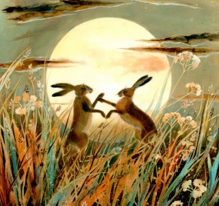 Mad March Hares2