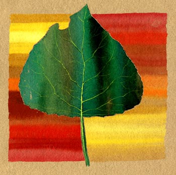 A Leaf from My Sketchbook. Keith Melling