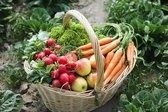Aim for 9 to 10 portions of fruit and vegetables to eliminate constipation