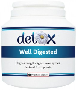 Improve Digestion with Well Digested