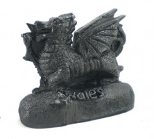 small coal dragon