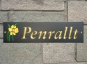 welsh slate house plaque with daffodil