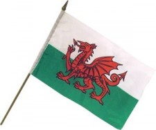 welsh flag on stick
