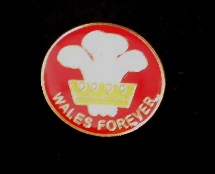 welsh 3 feathers pin badge