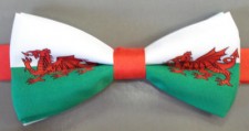 welsh bowtie
