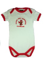 welsh baby sleepsuit