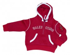 welsh baby hoodie