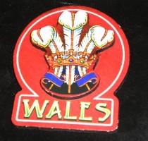welsh 3 feathers magnet
