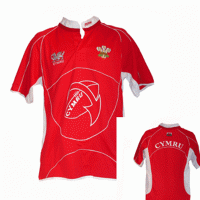 kids welsh rugby jersey