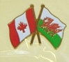 welsh and canadian flag pin
