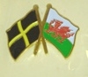 welsh flag and flag of st david pin
