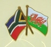 welsh and south african flag pin