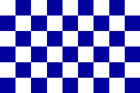 Blue and White Checked