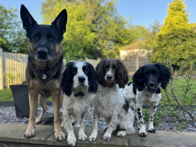 Nero, Reef, River & Dusk