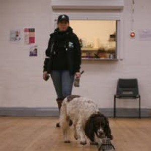 Joleen & River Scent Detection Line up's