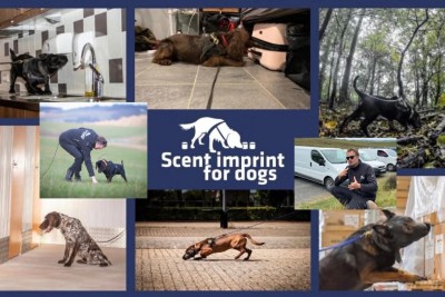 Wesley Visscher - Scent Imprint for Dogs