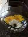 goldfish style vases with floating Gerberas