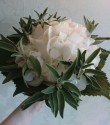 Bridesmaids bouquet of hydrangea