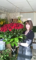 Lily White Sutton Coldfield Florists
