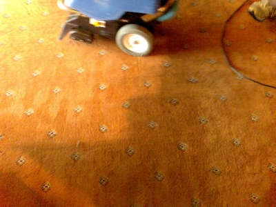 Carpet Cleaning results