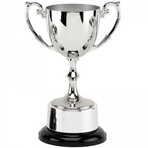Recognition Silver Cast Metal Cup Award
