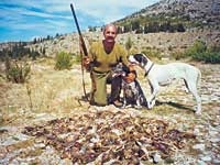 Quail hunting with pointers