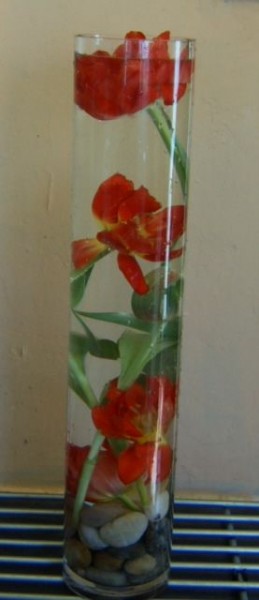 Tall Slim Vase Tulips Under Water