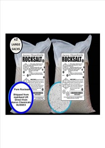 ROCK SALT 2 X 25KILO  (WHITE SALT)