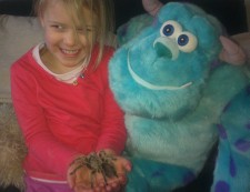 Charlotte & Tarantula