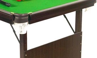 Pro Snooker Table.