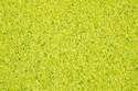 Apple Green Komodo Sand