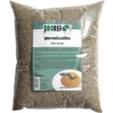 vermiculite fine