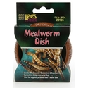 Lee's meal worm dish