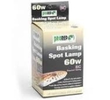 prorep basking spotlamp 60w bc