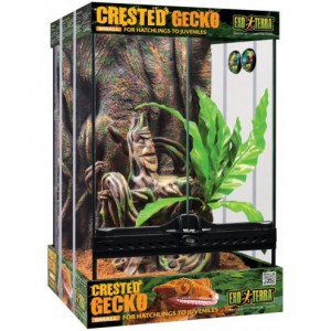 SET1..Crestie Exo Terra Crested Gecko Kit Small 