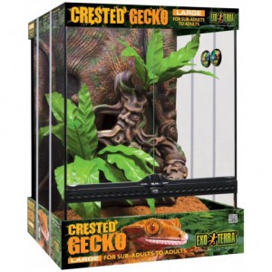 SET1.Crestie Exo Terra Crested Gecko Kit Large