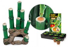 Bam2 Exo Terra Large Bamboo Forest Habitat kit