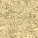 Woodland Beige