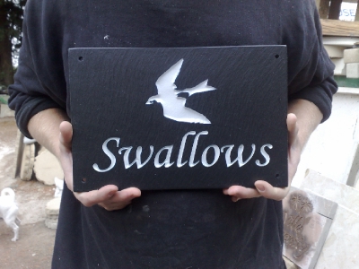 swallows